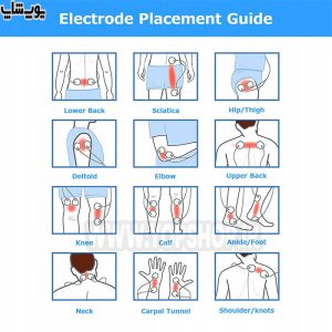 توجه به نقاط استاندارد ماساژ بدن با دستگاه ماساژور تحریک عضلانی ماکسیو مدل Htqm001 حائز اهمیت می باشد.