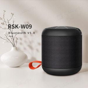 اسپیکر بلوتوثی قابل حمل رسی مدل RSK-W09 با طراحی ظاهری شیک و زیبا می باشد.
