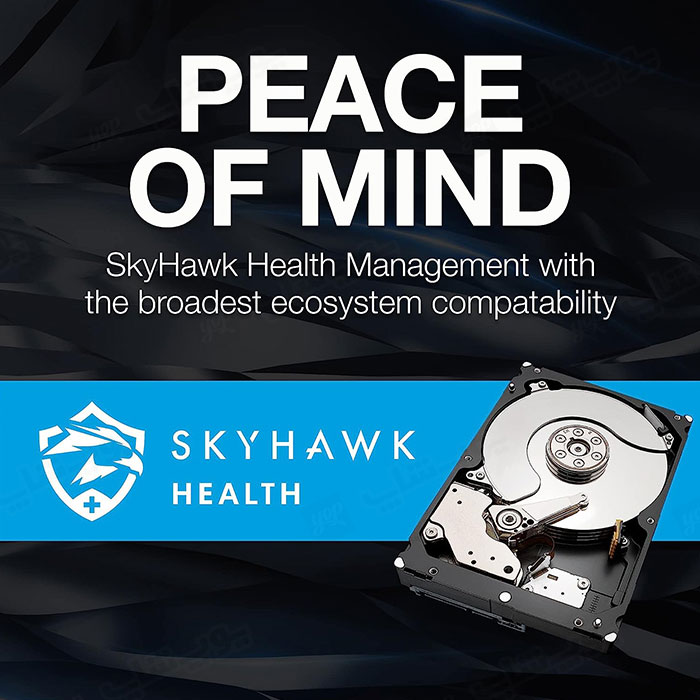 هارد اینترنال سیگیت مدل ST1000VX005 SkyHawk ظرفیت 1 ترابایت با امنیت بالای اطلاعات می باشد.