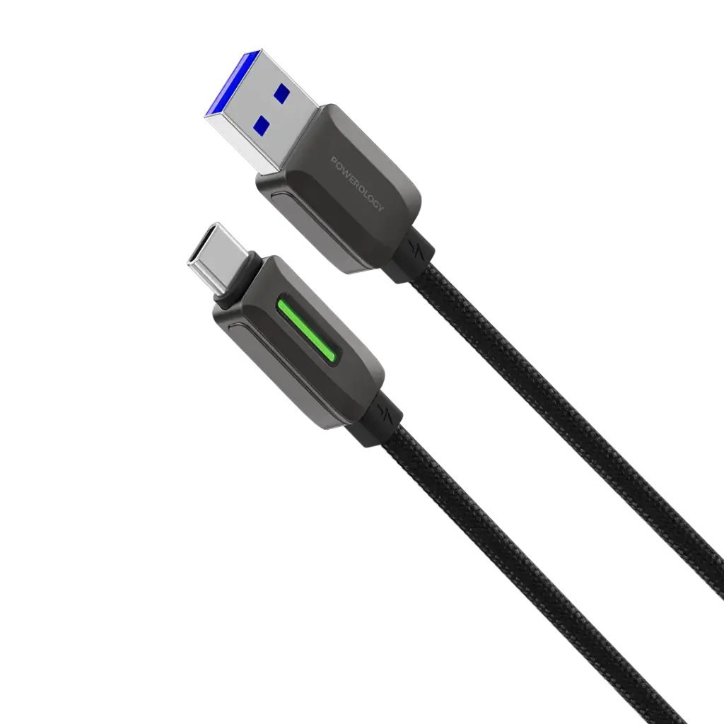 کابل پاورولوژی مدل BRAIDED USB-C